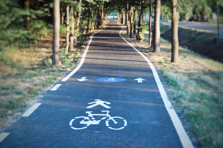 A wide, straight pathway in a lush, green park with tall, dense trees lining both sides of the walkway. The path is paved with asphalt and has a slight incline, with a few small patches of gravel and